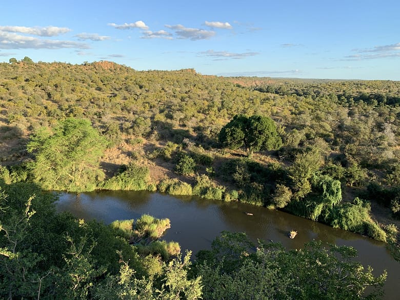 Travelbuddies in Kruger