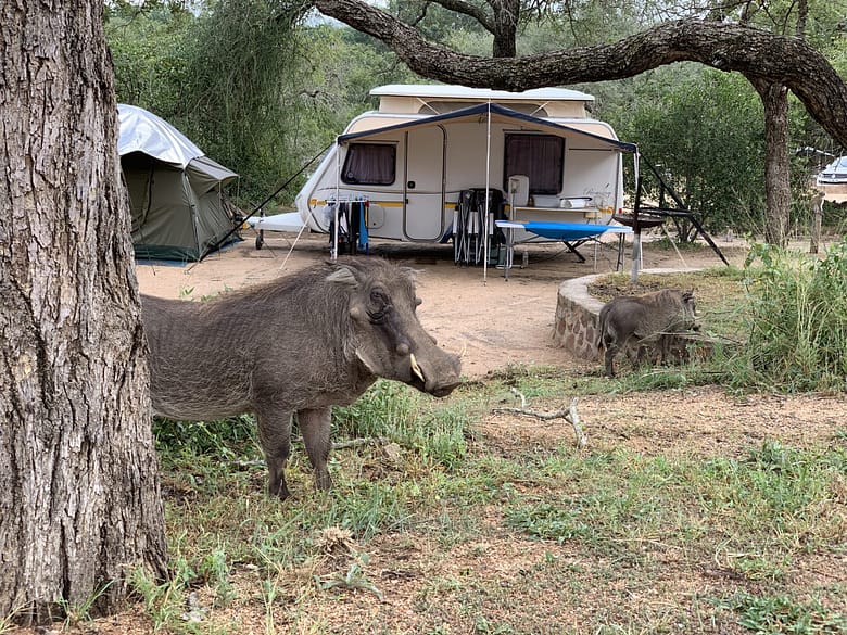 TRavelbuddies in Kruger