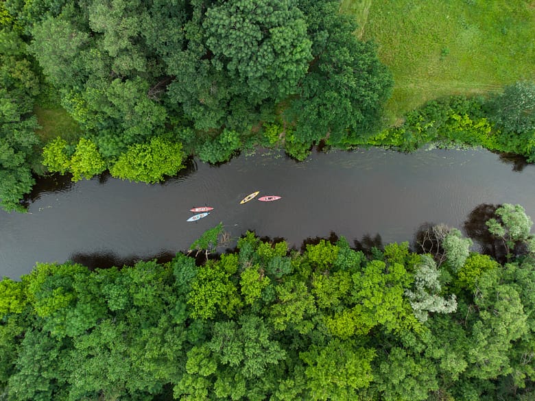 aerial view of a group of kayaks traveling on a forest river on a summer day