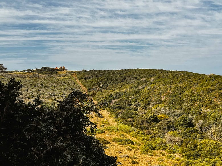 Surroundings of Sandcastle Villa.