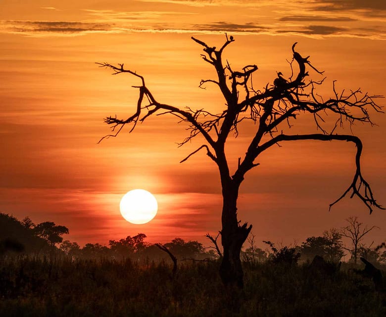 Sunset over Africa