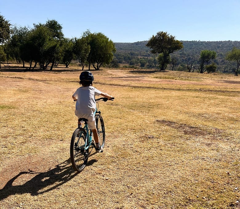 Cycling at Zebra Crossing, Mountainbiking , South Africa