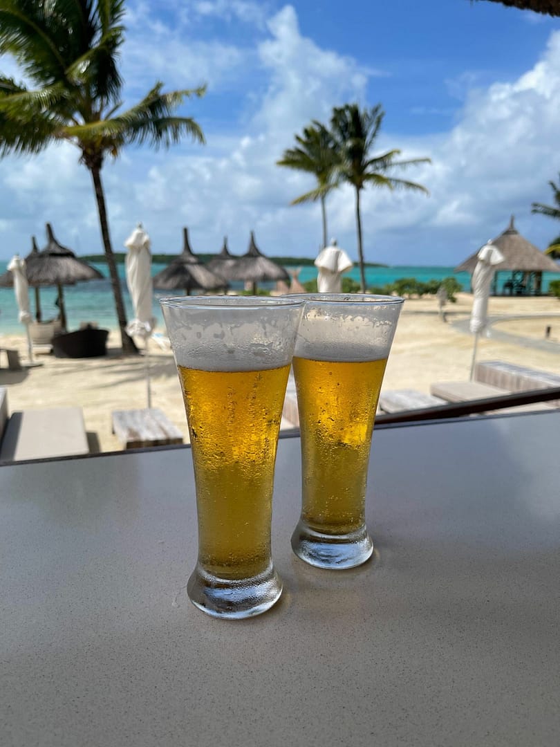 Travelbuddieslifestyle in Mauritius with palm tree views