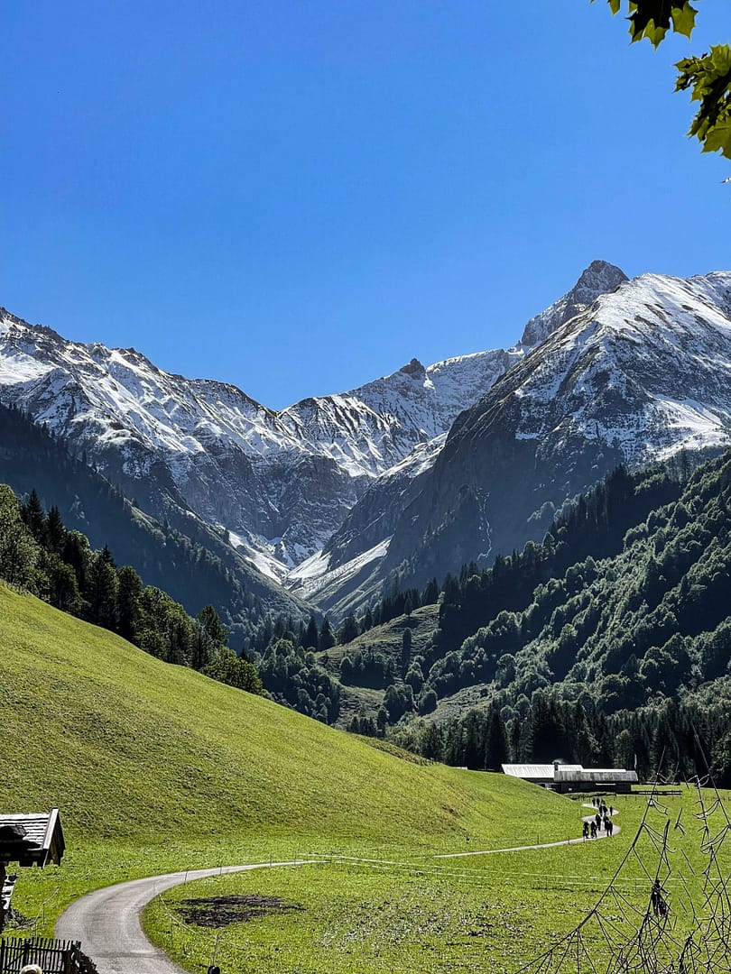 Rolling hills in the Allgäu region with backdrop of the Alps of Germany
