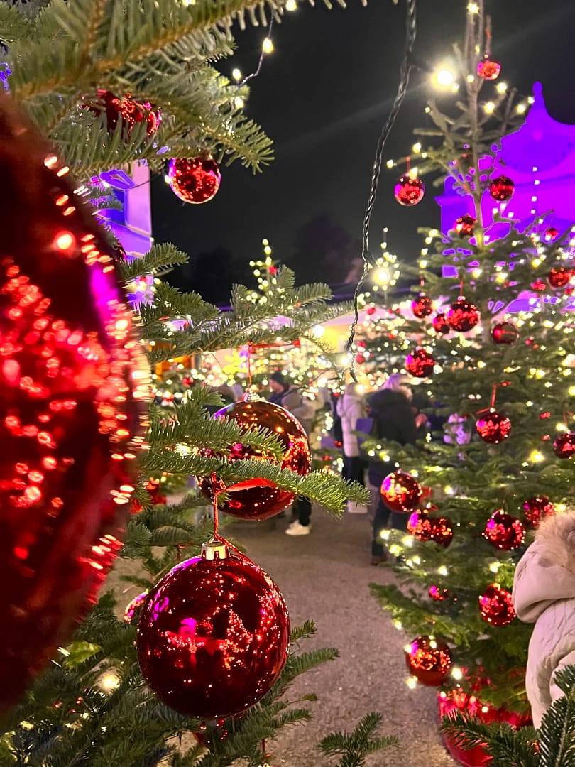 Christmas trees with red baubles in fairly rights at a Christmas Market in Austria